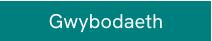 Gwybodaeth