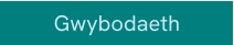 Gwybodaeth